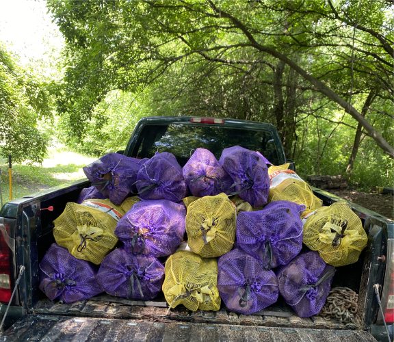 bag truck